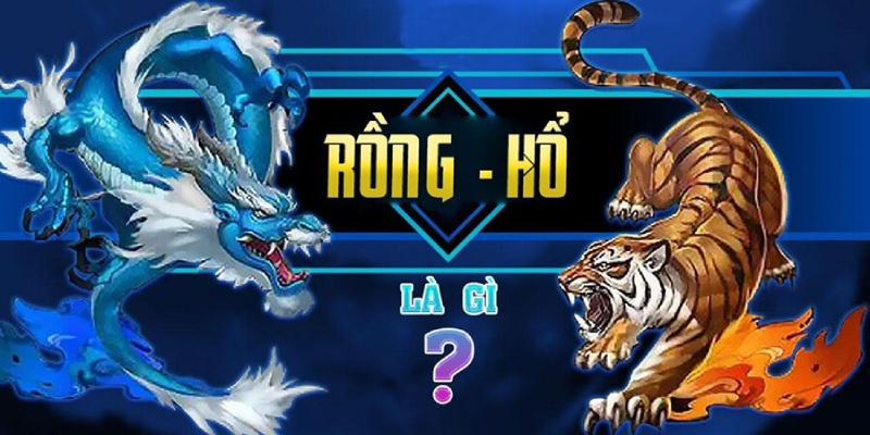 Rồng hổ